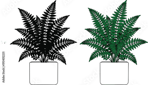 Potted fern plant set, black silhouette and green foliage versions, indoor houseplant vector illustration, botanical decor element, isolated design collection