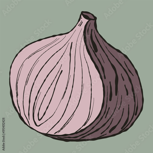 Rustic Hand-Drawn Red Onion Illustration. Artisan Half Sliced Purple Onion Vector for Salad Menus, Healthy Recipe Blogs, and Organic Branding