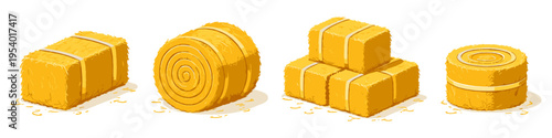 Collection of four different types of hay bales on a white background