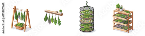 Various methods for drying herbs and plants for preservation and storage