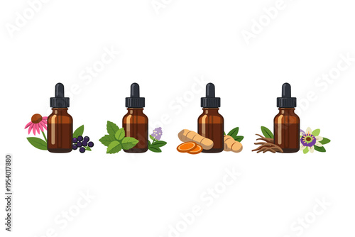 Collection of four dropper bottles with natural herbal ingredients for tinctures