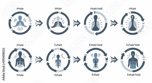 Breathing diagram illustrates human lung function, showing inhale and exhale steps clearly. Mindful breathing diagram includes inhale hold and exhale hold for relaxation.