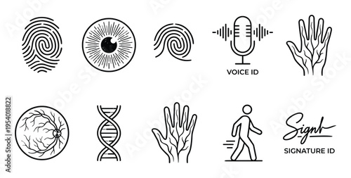 Biometric Identification Methods Line Art Icon Set, Fingerprint, DNA, Voice, Signature ID