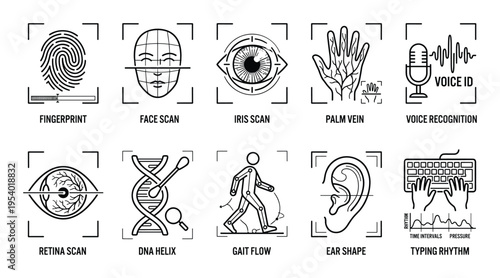 Biometric Identification Systems: Fingerprint, Face Scan, Iris Scan, Retina Scan, Palm Vein, Voice