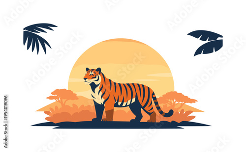 Wildlife moment in a tropical jungle landscape during a calm sunset scene, a strong tiger standing on a simple jungle ground silhouette with a large setting sun behind and a few