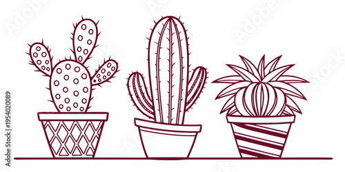 Three distinct cacti in pots arranged neatly on a windowsill.