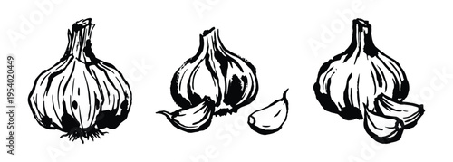 Garlic Bulbs Hand Drawn Illustration, Organic Food Drawing