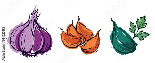 Garlic Watercolor Illustration, Purple Garlic Bulb, Orange Garlic Cloves, Green Garlic with Parsley
