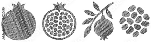 Pomegranate fruit vector illustrations: textured style graphics with hand drawn