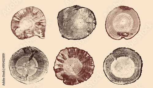 Set of brown tree ring cross sections, wood slices isolated. Tree stump cuts with natural growth rings, trunk slabs, detailed ring patterns. Organic wood texture elements for background design.