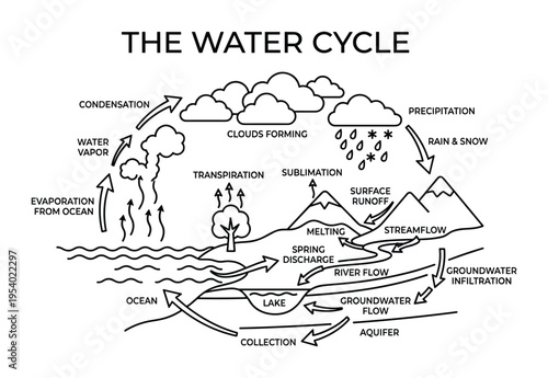 Water cycle diagram shows evaporation, condensation, precipitation stages and runoff.