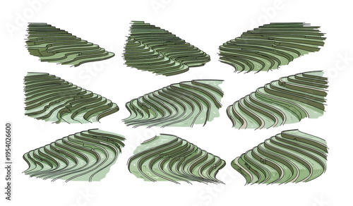 Collection of Green and white striped fish scales.
