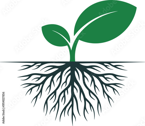 Green sprout with deep complex root system growing underground isolated on a clean white background.