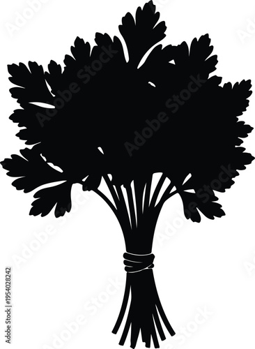 Vector silhouette bunch of fresh parsley herbs tied with twine design
