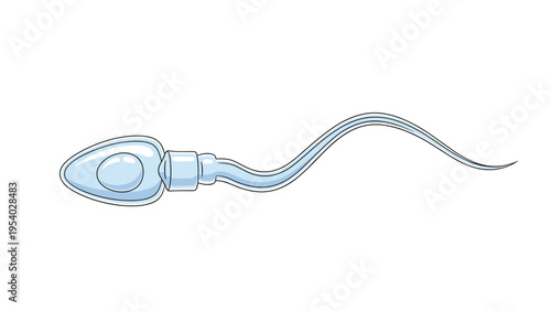 Scientific illustration of a single human sperm cell showing the anatomical details of the head, neck, and long tail.