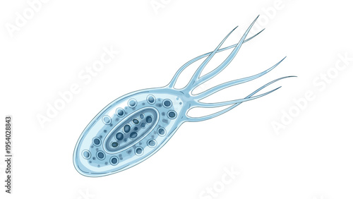 Detailed scientific illustration of a microscopic protozoan cell with multiple flagella for motility and cell structures.