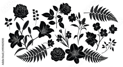 A collection of various leaves and flowers in a symmetrical arrangement.