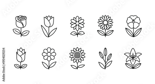 A collection of various plant and flower illustrations showcasing different species