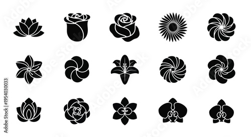 A collection of various types of flowers and plants with intricate details and patterns