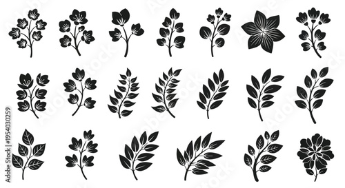 A collection of various types of leaves and branches in black and white