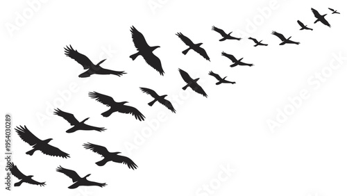 A flock of birds flying in formation as a minimalist vector graphic silhouette