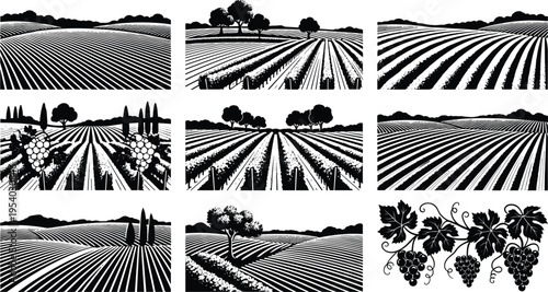 Vineyard landscape collection, grape vineyard sketches, rural farm fields, wine production scenes, vineyard rows, agricultural hills, black and white vineyard illustrations.