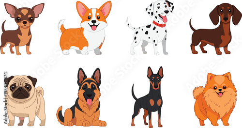 Cute, cartoon, dog, breed, set, featuring, chihuahua, corgi, dalmatian, dachshund, pug, german, shepherd, doberman, and, pomeranian, characters, isolated, vector, illustration.