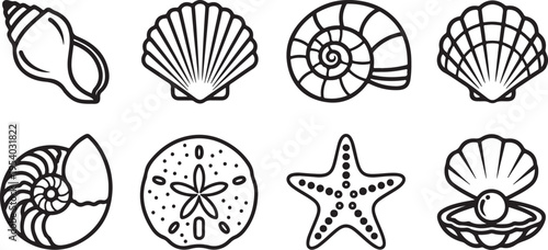 Assorted illustrations of seashells and a starfish in black and white Vector