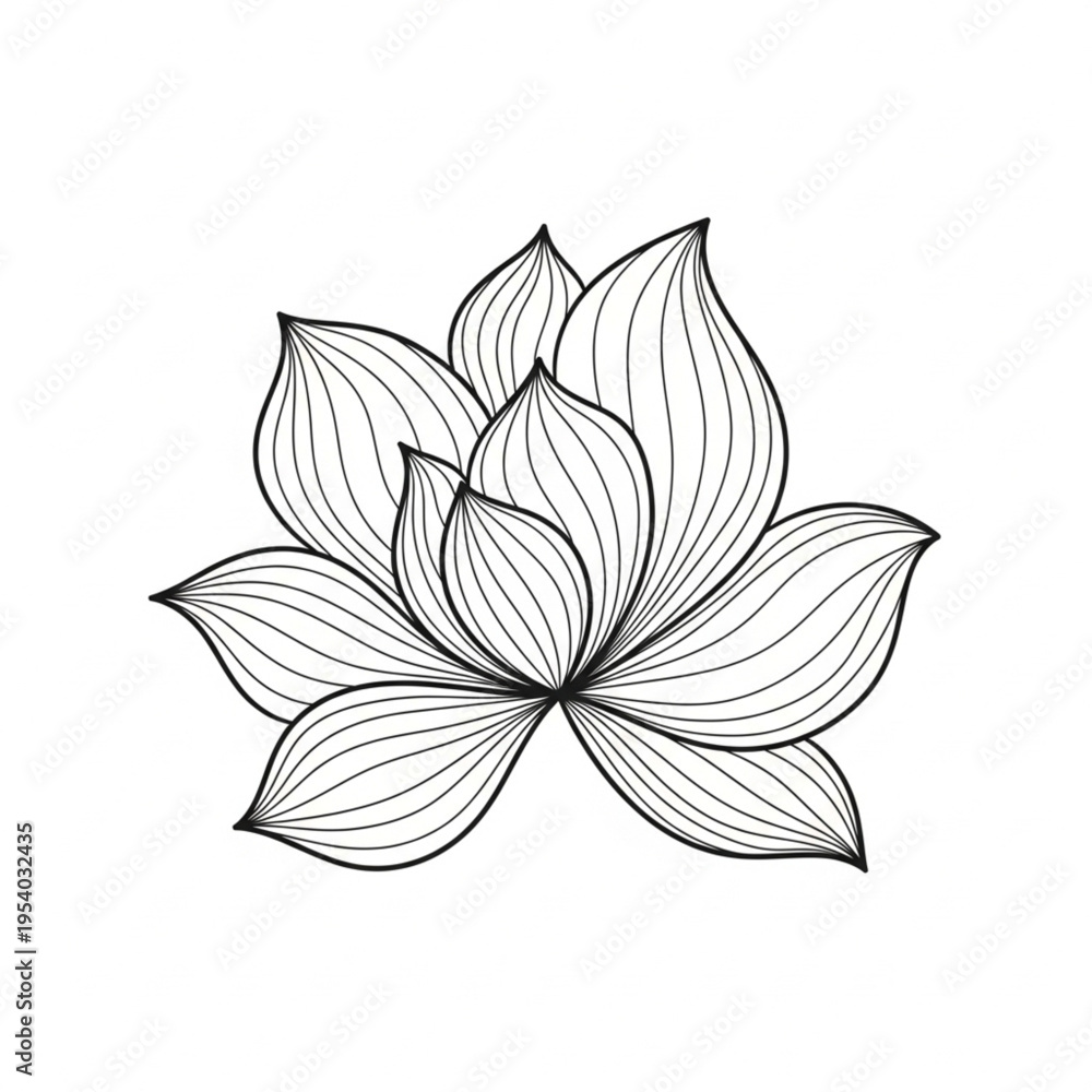 Obraz premium Black and White Line Drawing of Magnolia.