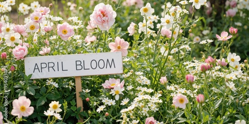 april bloom at the garden of the gods