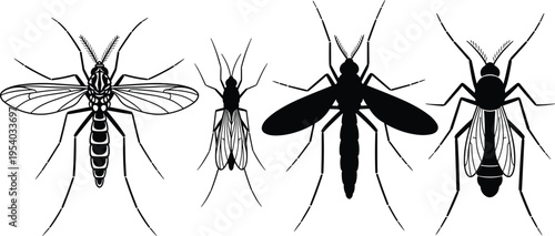 Mosquito and Midge Insect Silhouette Set, Vector Illustration of Gnats and Parasites Isolated on White Background for Medical and Pest Control