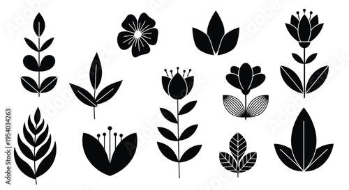 A collection of various types of leaves and ferns in black and white illustration