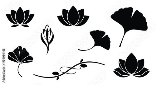 A collection of various types of leaves and flowers in a symmetrical arrangement