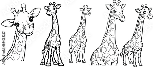 sketch of giraffe zebra, animal, cartoon, mammal, baby, nature, wild, 