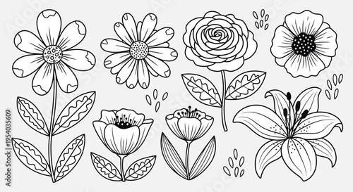 A delightful collection of various flower doodles in black and white