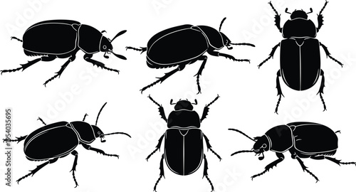 Set of beetle silhouettes in different poses, insect vector collection isolated on white background for nature and entomology design