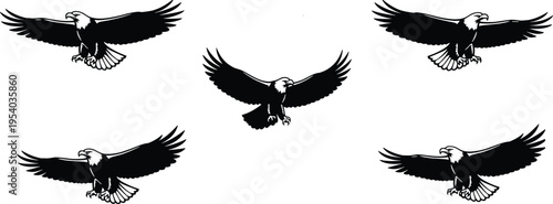 Set of eagle silhouettes in flying poses, majestic bird of prey vector collection isolated on white background for design