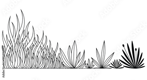 A detailed illustration of a cactus plant with various types of cacti in different shapes and sizes