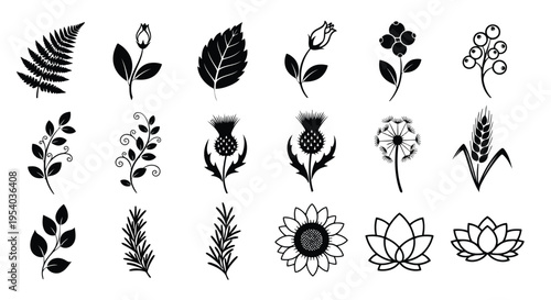 A diverse collection of intricate black and white animal paw prints and tracks