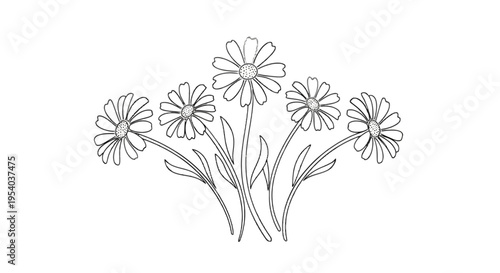 A bouquet of daisies with leaves and stems isolated on transparent background, Vector