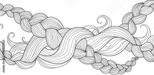 Elegant braided hair composition with flowing strands intricate line art decorative vector illustration