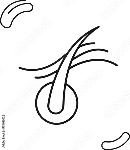 Hair follicle icon vector illustration with minimal line design representing scalp structure hair growth and dermatology concept