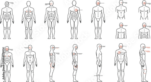 Human Body Pain Points Diagram Set – Front, Side & Back View Anatomy Markers for Medical, Physiotherapy & Fitness Education