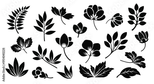 A diverse collection of various leaf designs and patterns in black and white