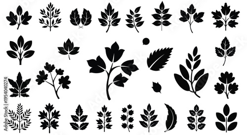 A diverse collection of various leaf designs and patterns in black and white