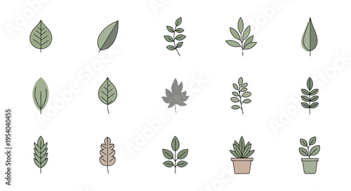 A diverse collection of various types of cacti and succulent plants in different shapes and sizes