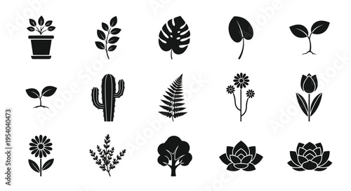 A diverse collection of various types of cacti and succulent plants in black and white