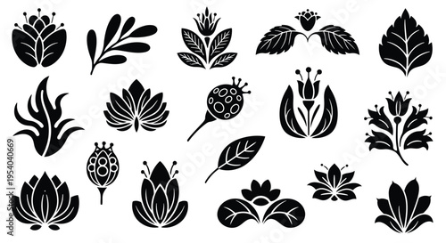 A diverse collection of various types of leaves and plants in a symmetrical arrangement.