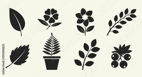 A diverse collection of various types of leaves and plants in a symmetrical arrangement