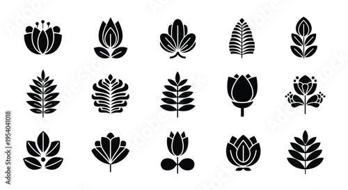 A diverse collection of various types of palm trees and tropical plants in black and white